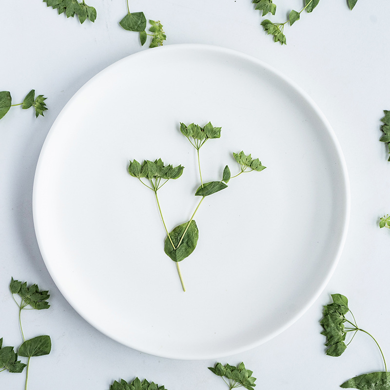 60 szt. Trawa z króliczymi usz – Plant Parent Sticker recenzja i cena